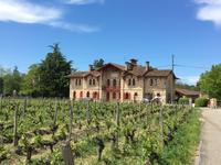 Ausflug ins Weinbaugebiet Médoc