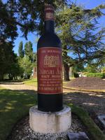 Verkostung im Weingut Chateau Aney