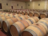 Verkostung im Weingut Chateau Aney