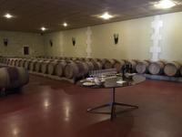 Verkostung im Weingut Chateau Aney