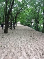 auf dem Weg zur Dune du Pilat 