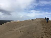 Dune du Pilat - Europas höchste Wanderdüne