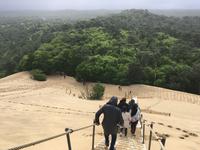 Dune du Pilat - Europas höchste Wanderdüne