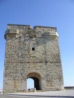 Tag 10 - 1 - Camargue - Fotostopp am Tour CarbonniÃ¨re (3)