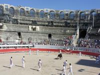 Tag 10 - 6 - Arles - camarguesischer Stierkampf (2)
