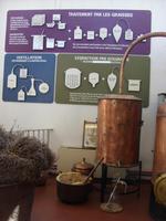 Tag 3 - 7 - Besuch der Parfümerie Galimard (1)