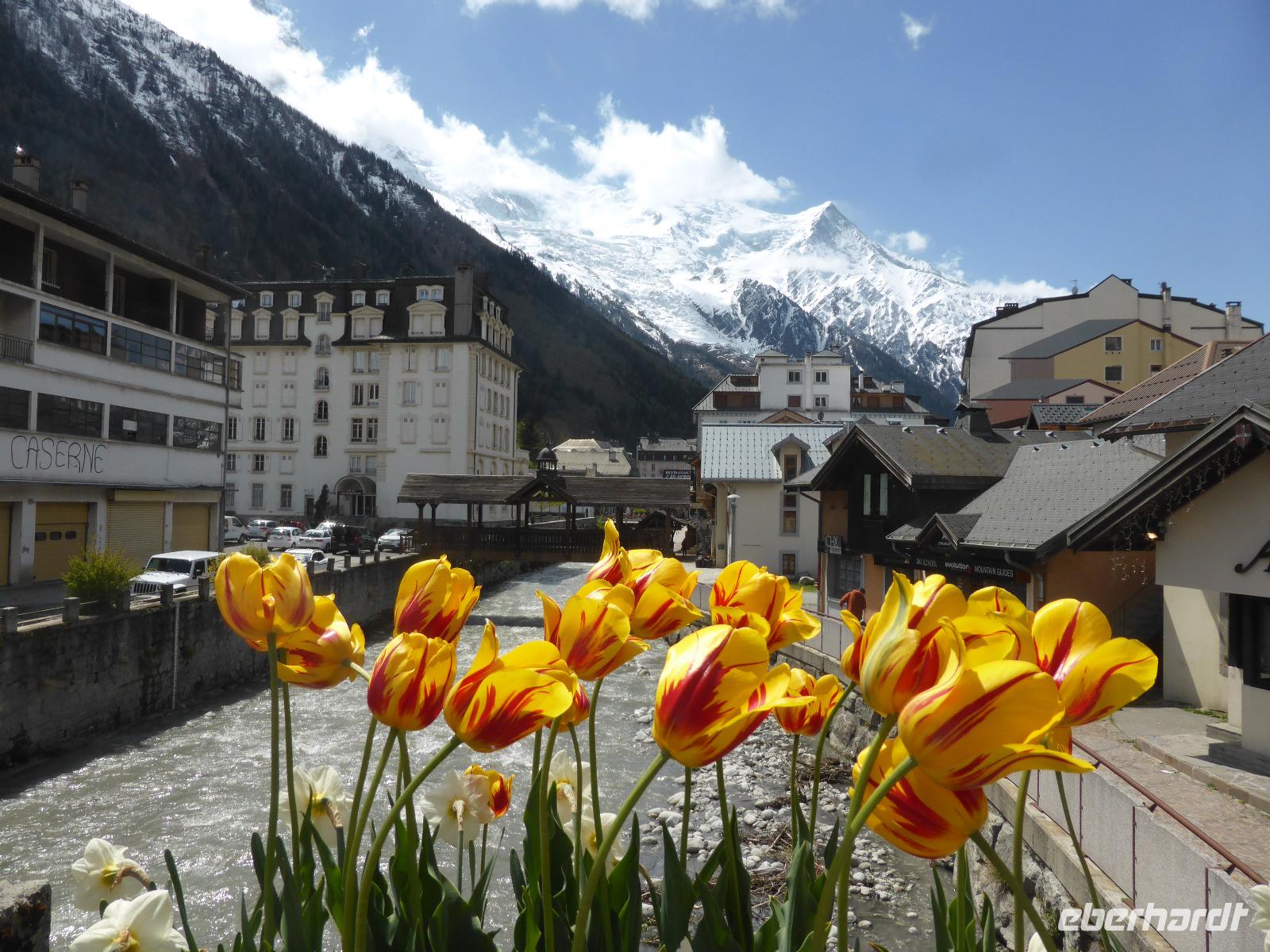 Chamonix - Arve mit Mont Blanc Massiv