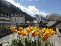 Chamonix - Arve mit Mont Blanc Massiv