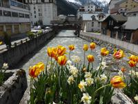 Chamonix - Arve