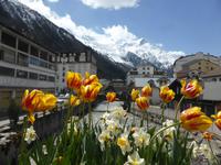 Chamonix - Arve mit Mont Blanc Massiv