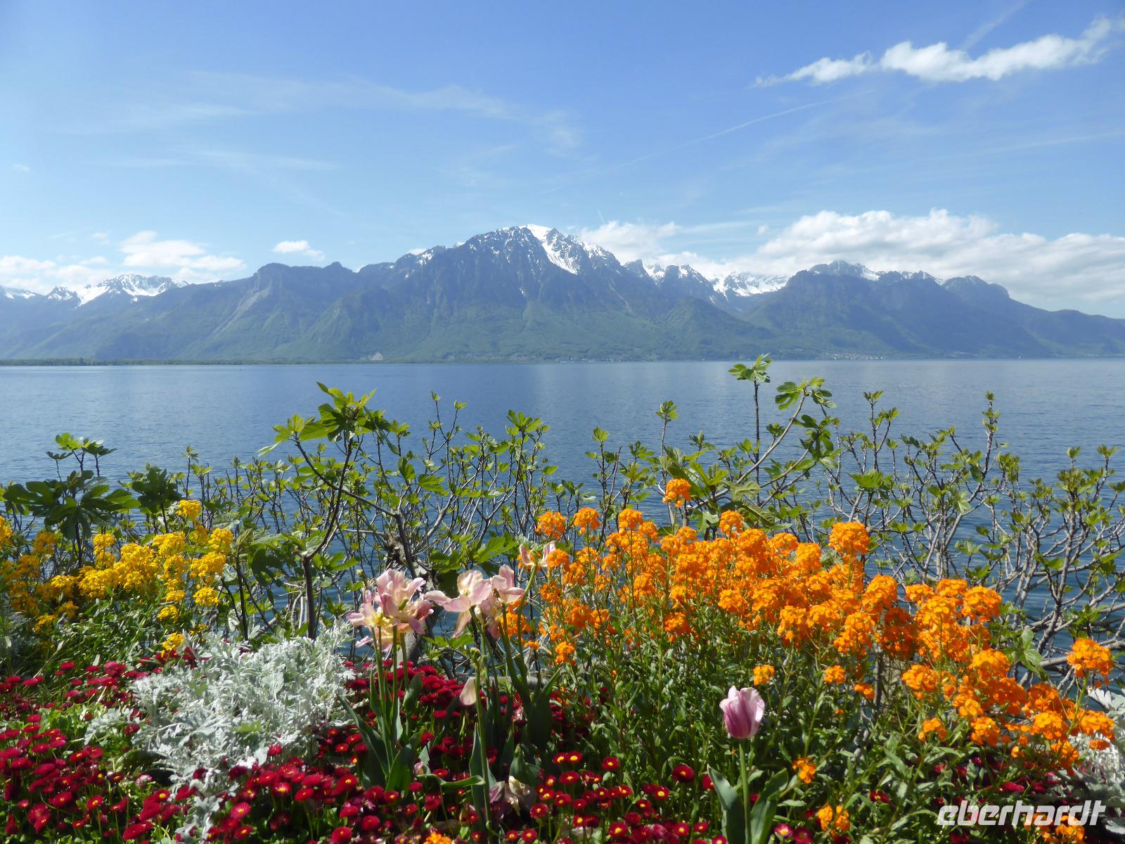 Montreux - Blumenpracht an der Promenade