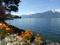 Montreux - Blumenpracht an der Promenade