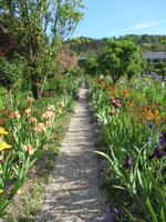 Giverny- Garten von Monet