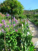 Giverny- Garten von Monet
