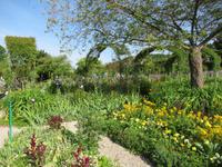 Giverny- Garten von Monet