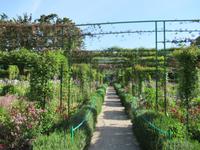 Giverny- Garten von Monet
