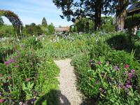 Giverny- Garten von Monet