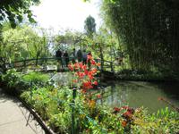 Giverny- Garten von Monet