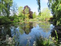 Giverny- Garten von Monet