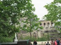 Paris- die Überreste der Muttergottes- Notre-Dame