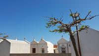 Korsika, Bonifacio, Fiedhof