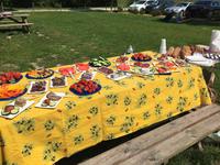 Picknick in Villandry