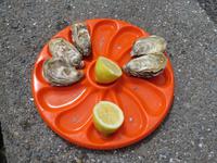 Austern von Cancale