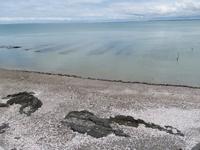 Austernbänke in Cancale