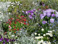 033. Gärten von Villandry