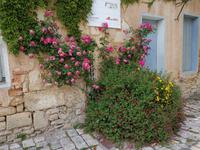 056. Blumen in Blaye