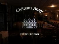 074. Château d'Aney