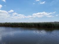 122. Aigues-Mortes Salzgärten