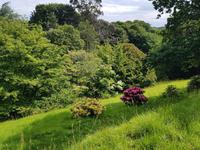 Jersey, Maison de Vaux