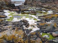 Jersey, St Helier, Elizabeth Castle