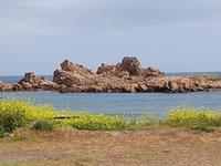 Guernsey, Westküste