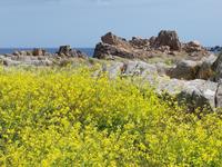 Guernsey, Westküste
