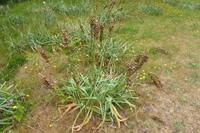 4.Tag, Wanderung von Crucuno nach Erdeven 