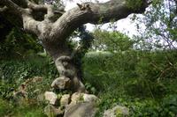 4.Tag, Wanderung von Crucuno nach Erdeven 