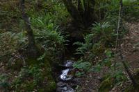 3.Tag, Wanderung im Wald von Brocéliande 