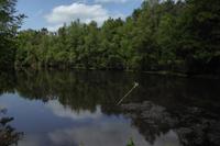 3.Tag, Wanderung im Wald von Brocéliande 