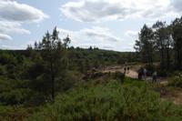 3.Tag, Wanderung im Wald von Brocéliande 