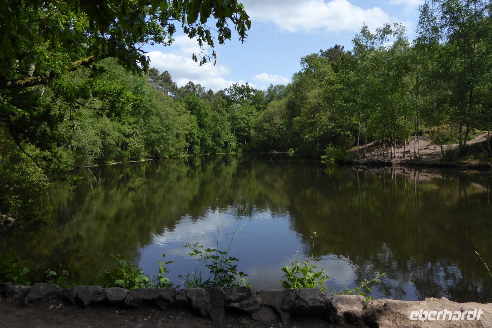 3.Tag, Wanderung im Wald von Brocéliande 