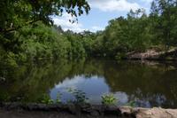 3.Tag, Wanderung im Wald von Brocéliande 