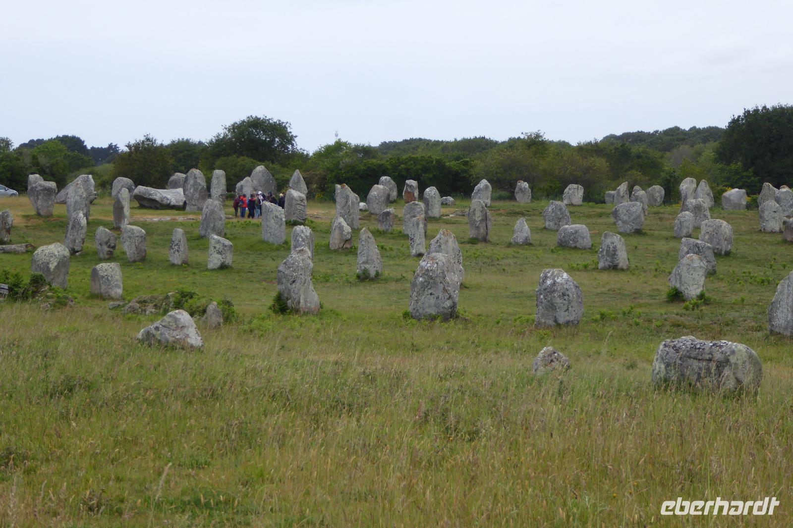 4.Tag, Wanderung Carnac, Alignements du Menec