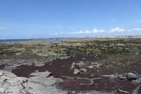 5.Tag, Wanderung auf der Halbinsel Penmarch  