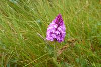5.Tag, Wanderung auf der Halbinsel Penmarch  