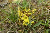 5.Tag, Wanderung auf der Halbinsel Penmarch  