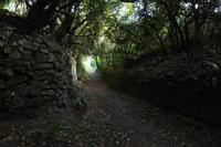 6.Tag, Wanderung zur Pointe du Raz 