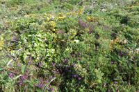 6.Tag, Wanderung zur Pointe du Raz 