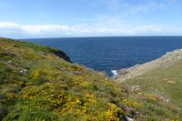 6.Tag, Wanderung zur Pointe du Raz 